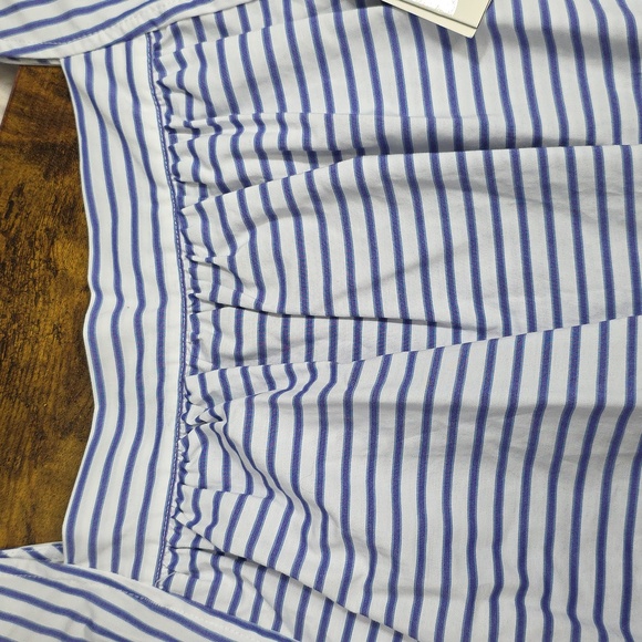 Victoria Beckham for Target Blue & White Striped Poplin Cami - Picture 11 of 12